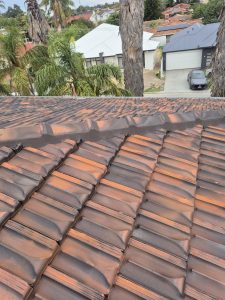 Completed roof cleaning and repointing project in Bull Creek