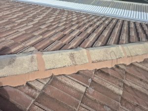 Tiled roof before high-pressure cleaning in Bull Creek