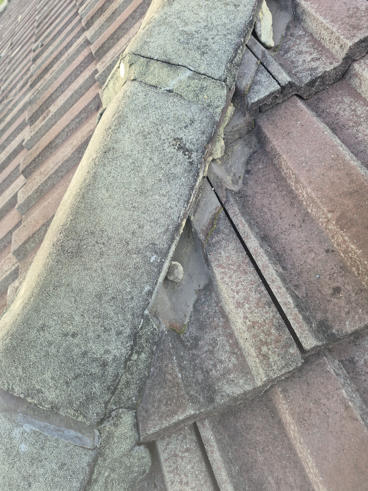 Ridge capping before repairs in Dianella