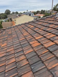 Roof after high-pressure cleaning in Bull Creek