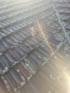 Roof before high-pressure cleaning in Bull Creek