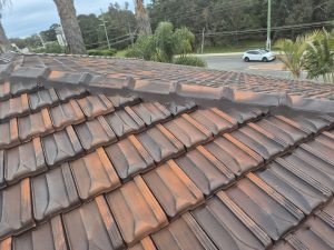 Roof after cleaning and ridge capping work in Bull Creek
