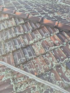 Tiled roof before pressure cleaning in Bull Creek