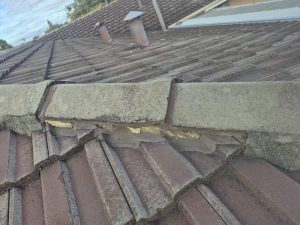 Before photo of roof maintenance in Dianella.
