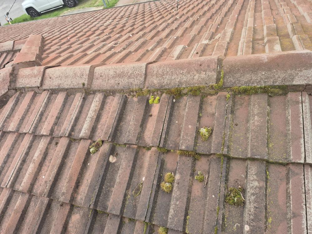 Before photo of wash and repoint work in Maylands