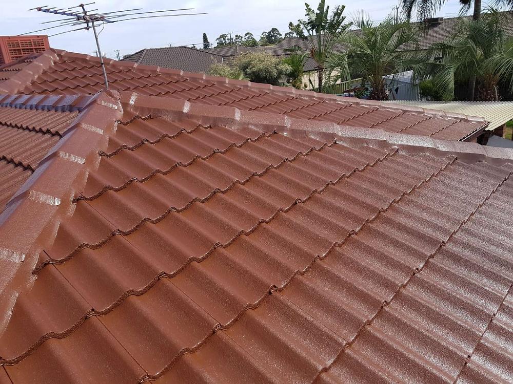 Roof Wash and Ridge Capping Repointing
