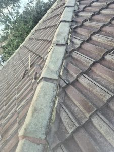 Before photo of roof maintenance in Dianella.